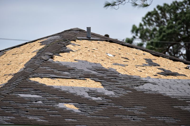 Shingle Roof Repair