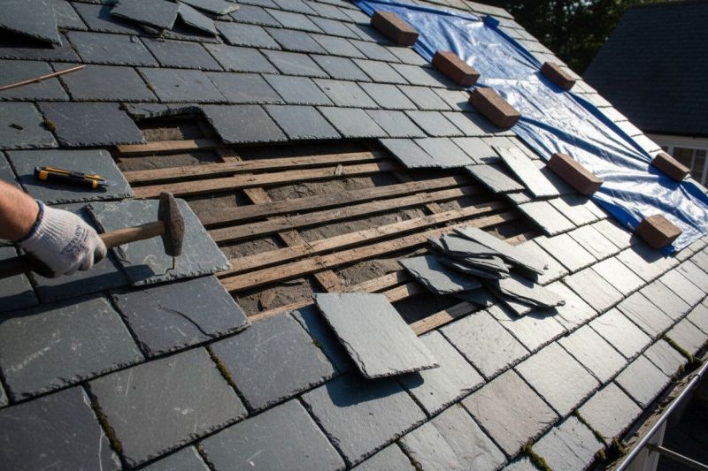 Tile Roof Repair